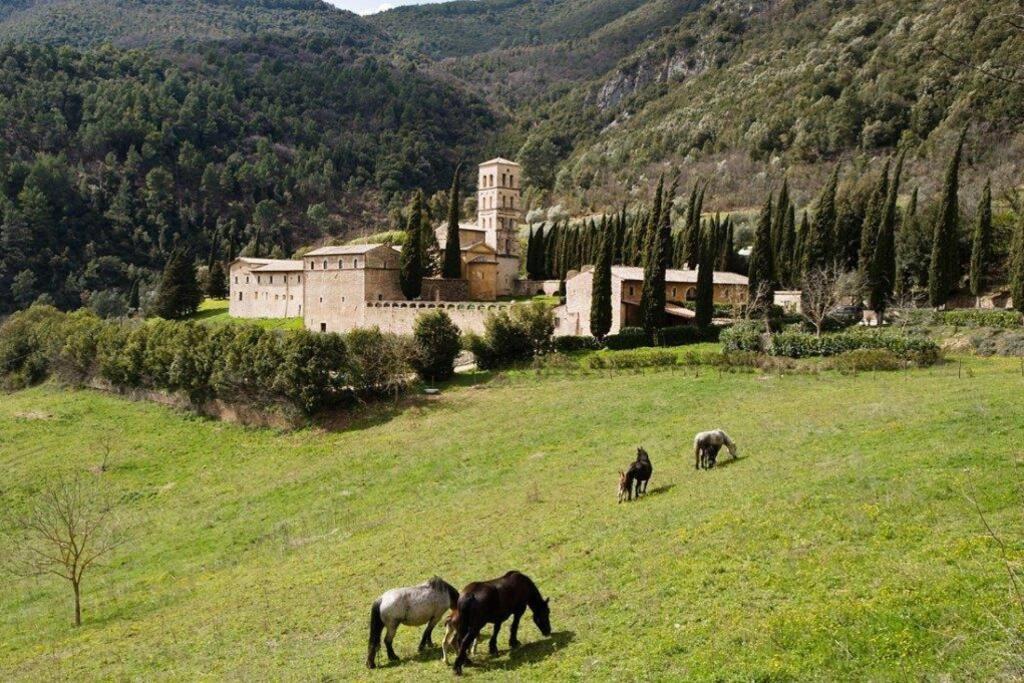 Authentic Surrounded By Nature * Terni