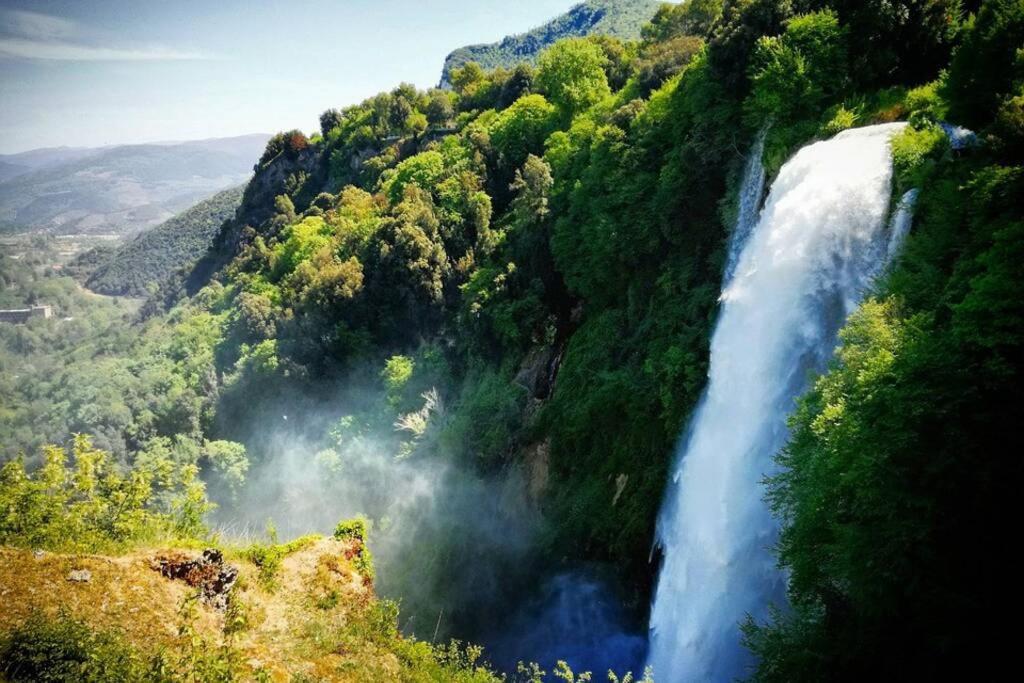 Authentic Surrounded By Nature *